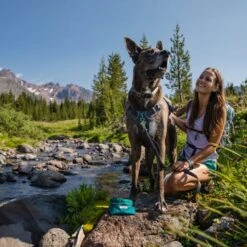 Ruffwear Flat Out Dog Collar -Shakespeare Outdoor Sales Store go 479982 d